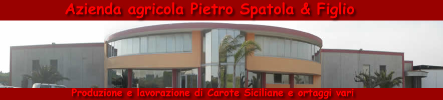 Pietro Spatola